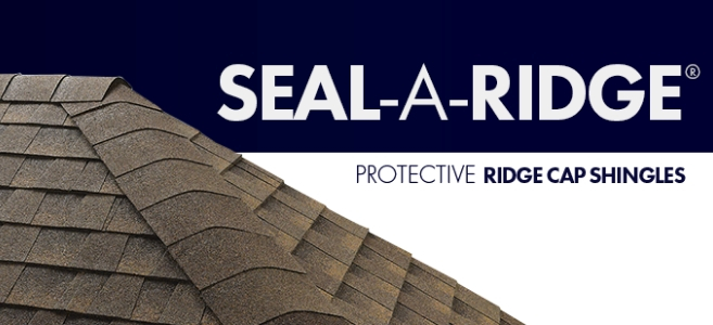 Teja asfáltica en Saldos Construcci&oacute;n